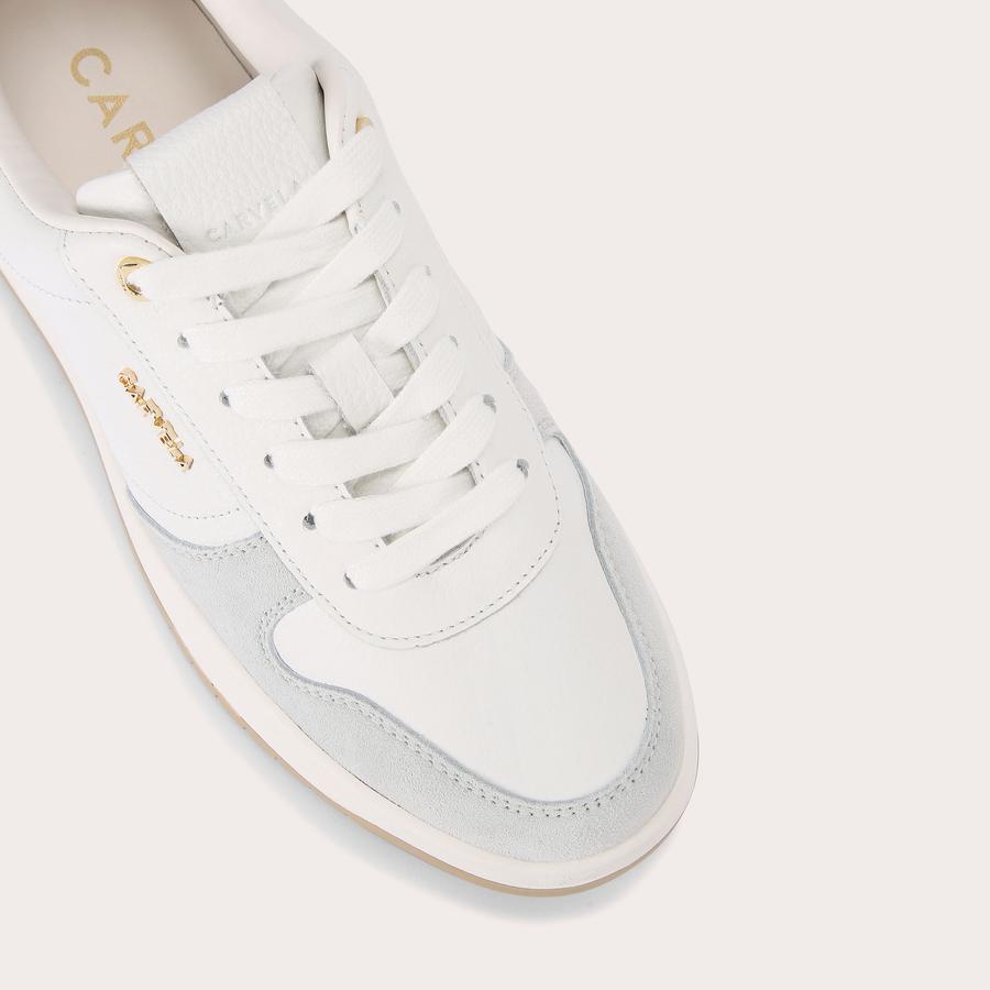 CHARM by CARVELA