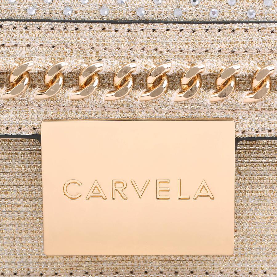 MINI BAILEY X BODY Gold Embellished Cross Body Bag by CARVELA