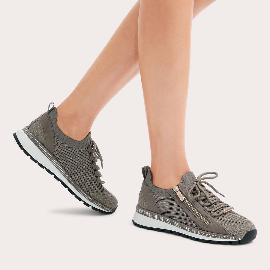 PACE ZIP KNIT Bronze Fabric Trainer by CARVELA