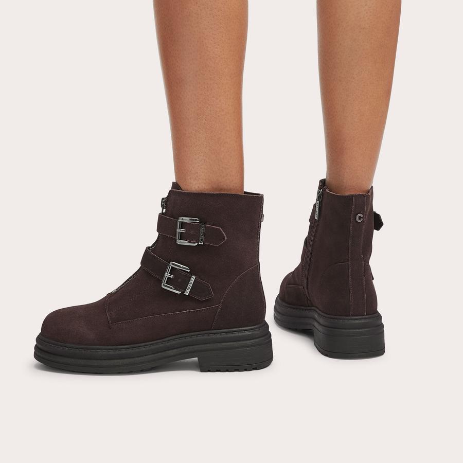Carvela suede ankle boots store
